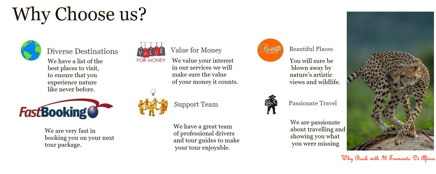 Thumbnail Image 1